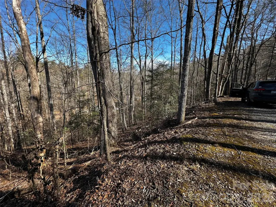 Lot 11 Blue Mist Mountain Road, Whittier, NC 28789 - #2