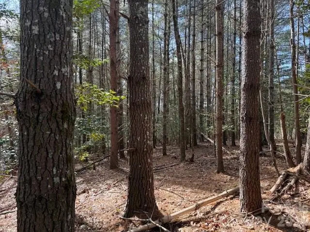 1386 Southpointe Drive, Morganton, NC 28655 - #3