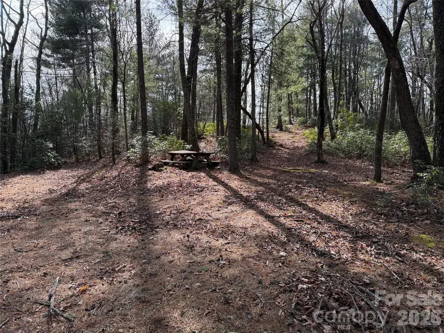 TBD Rich Pine Drive #120, Purlear, NC 28665 - #2