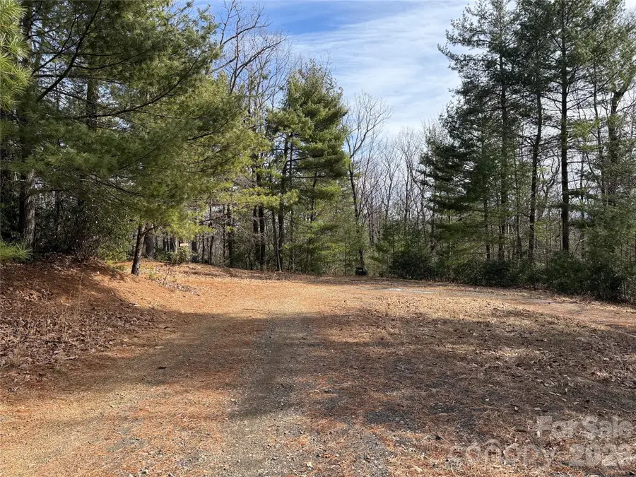 TBD Rich Pine Drive #120, Purlear, NC 28665 - #3