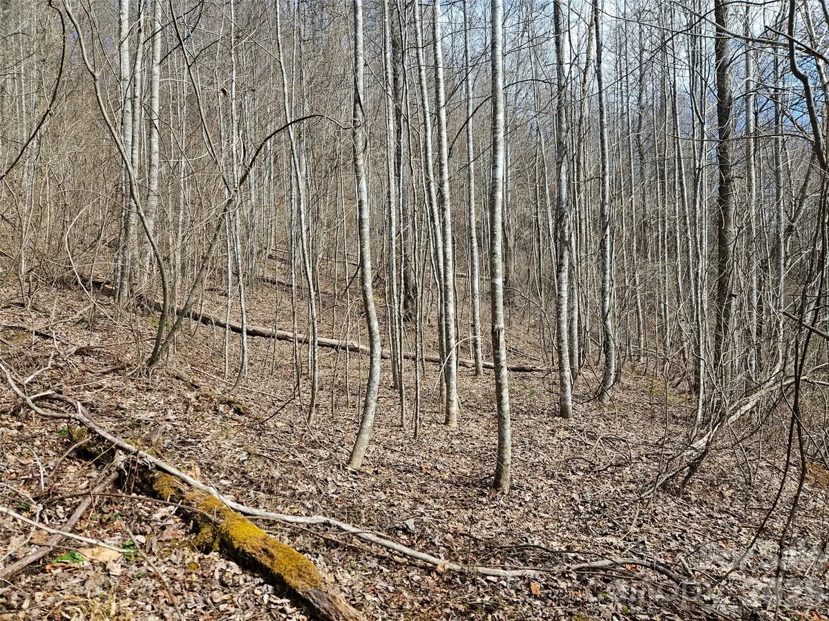 0 Woodfin Road, Sylva, NC 28779 - #1