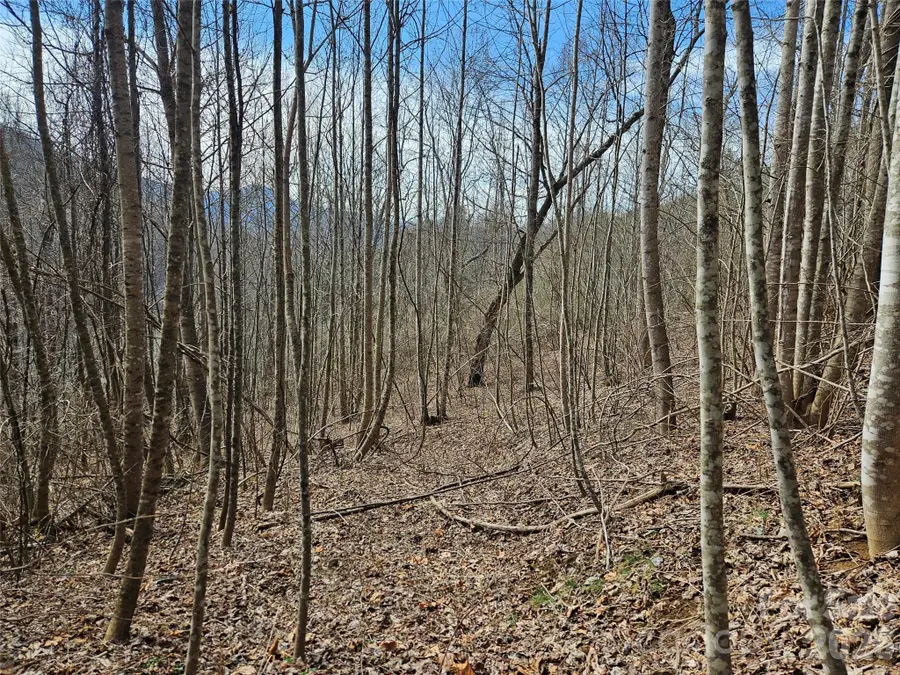 0 Woodfin Road, Sylva, NC 28779 - #2