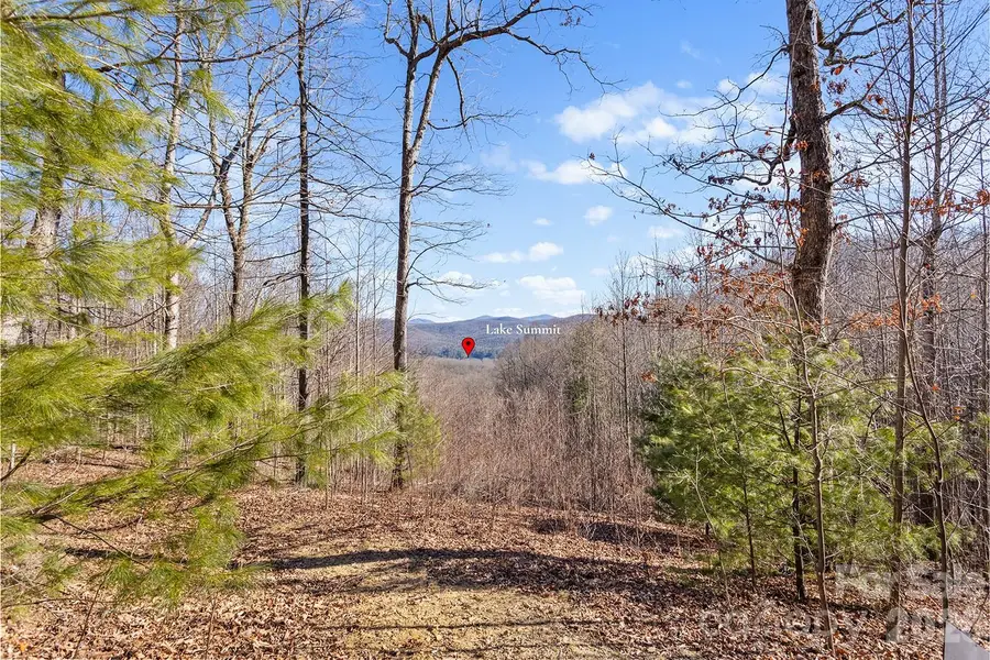 0000 Pinnacle Mountain Road #Lots 1,2,3,4, Zirconia, NC 28790 - #2