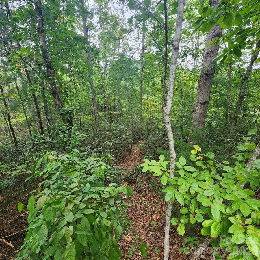 Lot 11 Waterside Drive, Lake Lure, NC 28746 - #2
