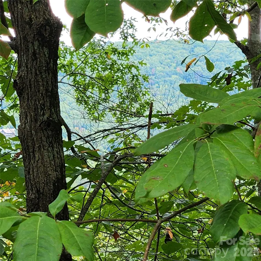 Lot 11 Waterside Drive, Lake Lure, NC 28746 - #3