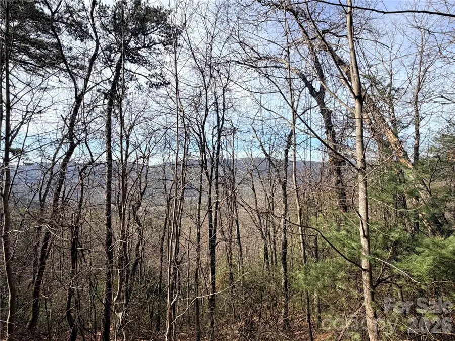 TBD Maple Valley Lane #207 & 220, Purlear, NC 28665 - #3