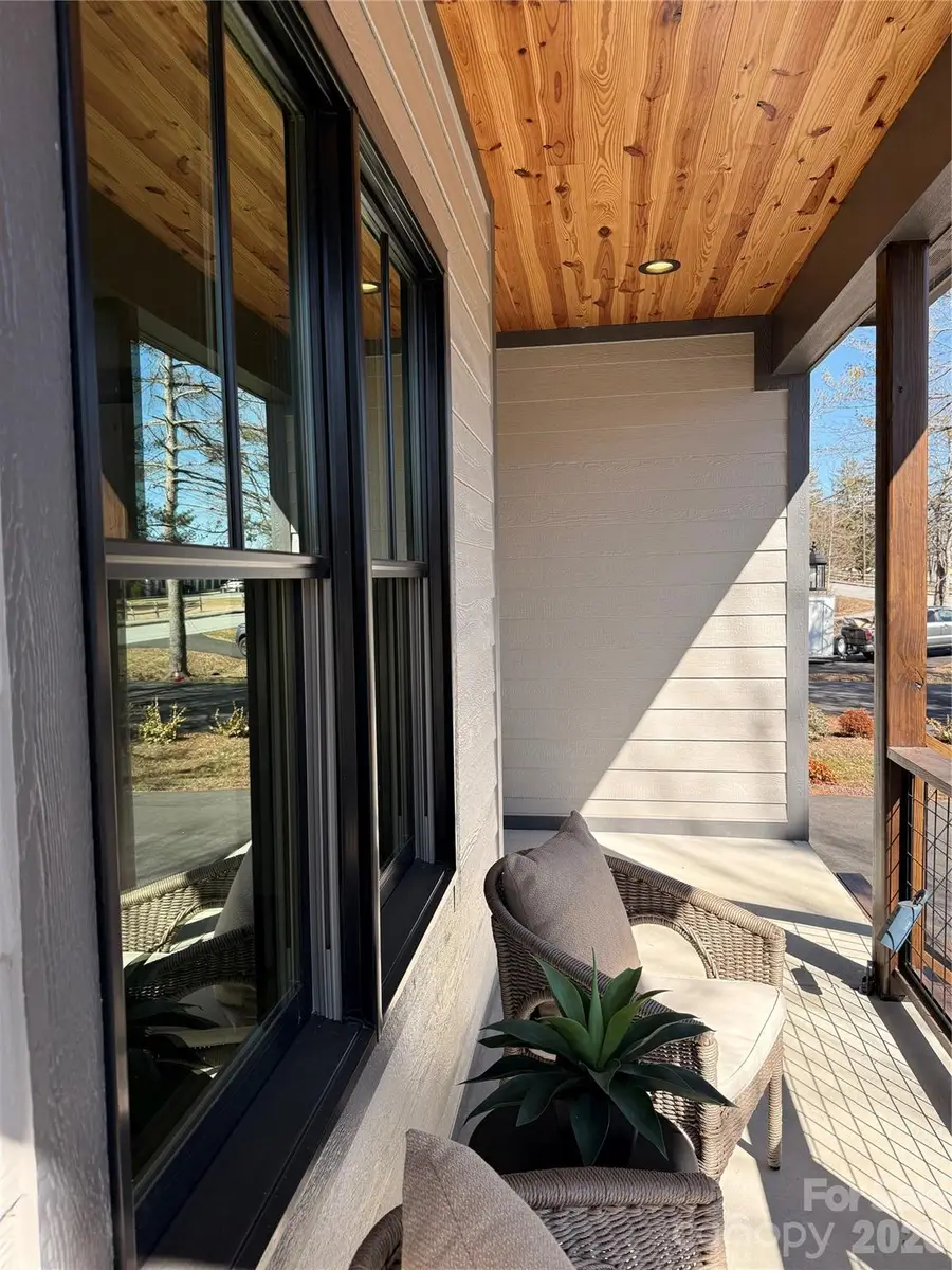 314 Gallimore Road, Brevard, NC 28712 - #3