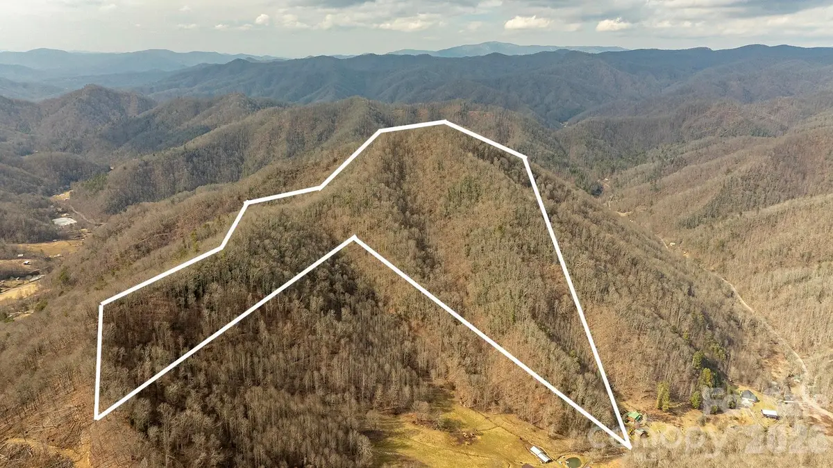 0000 Devils Knob Road, Mars Hill, NC 28754 - #1