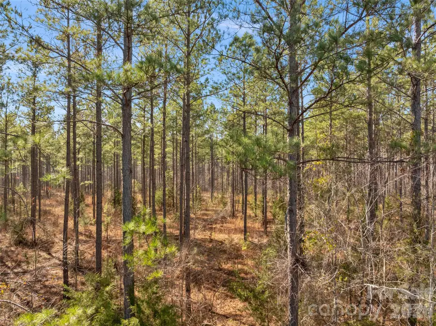 000 Peacehaven Road #1, McConnells, SC 29726 - #3