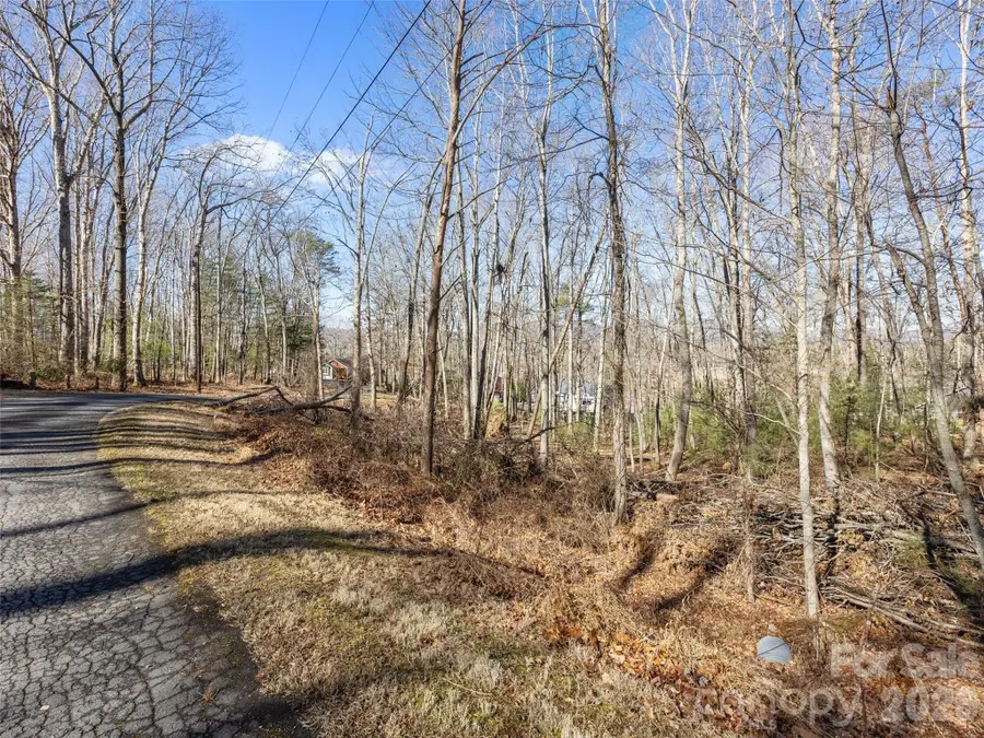 Lot 7 Mountain Heritage Place, Candler, NC 28715 - #3