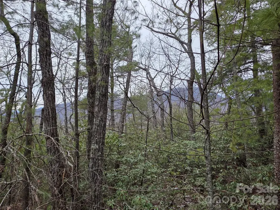 Lot 24A-28A Quail Drive, Marion, NC 28752 - #3