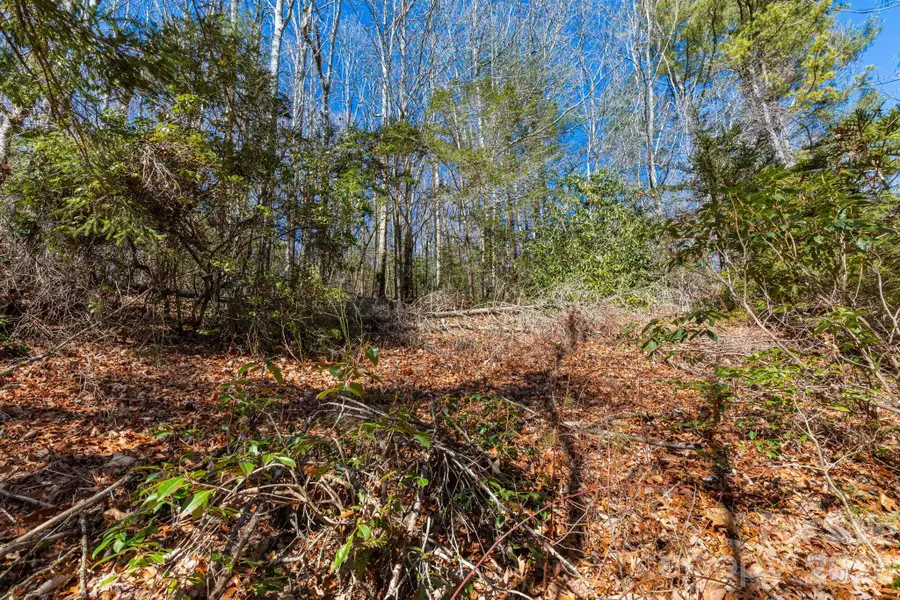 999 Flat Creek Valley Road, Lake Toxaway, NC 28747 - #3