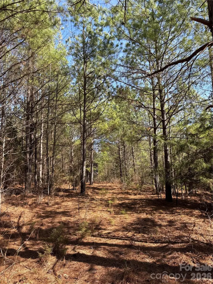 7.6 +/- Ac Pioneer Road, York, SC 29745 - #3