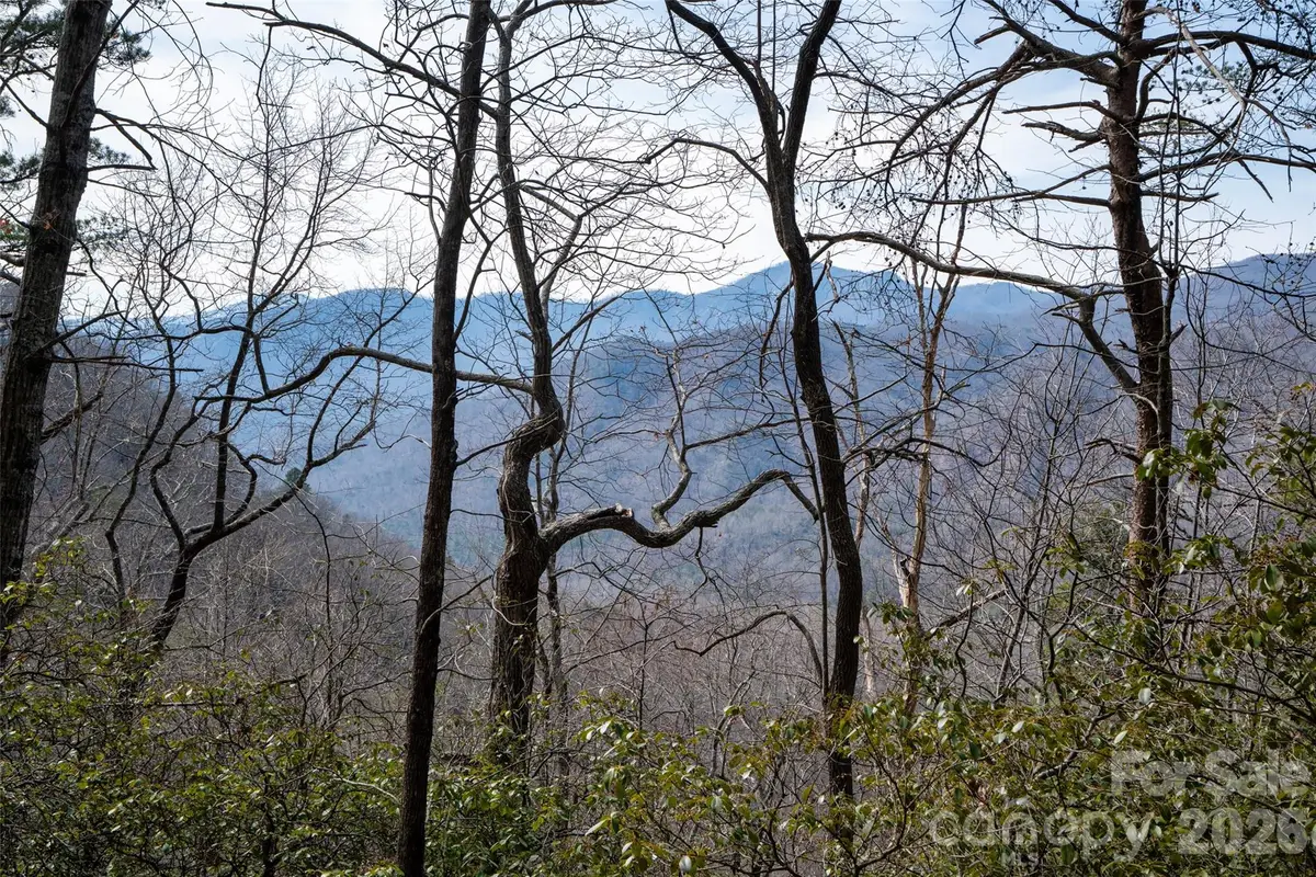 0 Rachel Ridge, Lake Lure, NC 28746 - #1