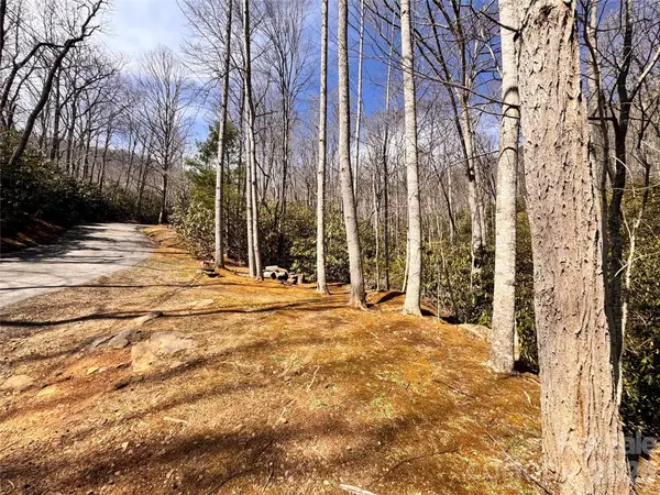 212 Harmony Lane #1142, Montreat, NC 28757