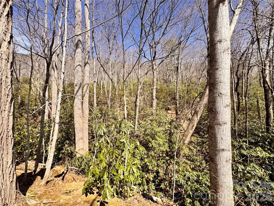 212 Harmony Lane #1142, Montreat, NC 28757 - #2