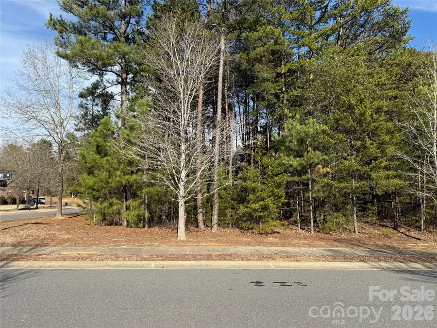 16213 Monnet Place Court, Charlotte, NC 28278 - #2