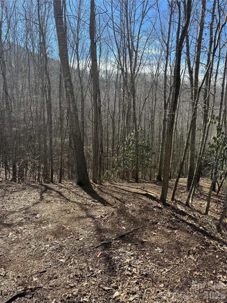 236 Down The Hill Road, Sylva, NC 28779 - #2