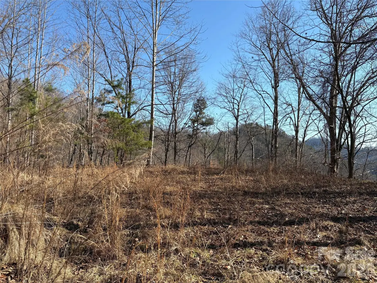 00 Brush Creek Road #41, Bryson City, NC 28713 - #1