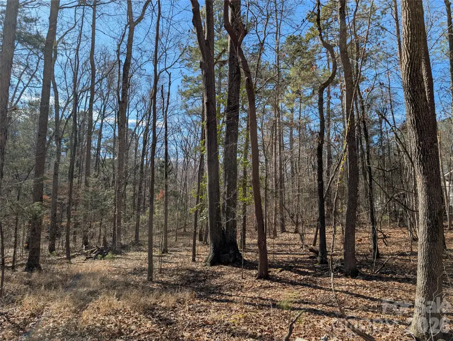 489 & 491 Mimosa Road #3 & 9, Rock Hill, SC 29730 - #3