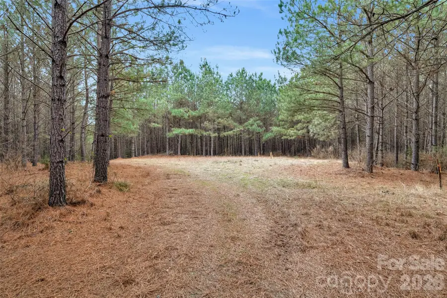 00 Woods Ferry Road #2, Chester West, SC 29013 - #2