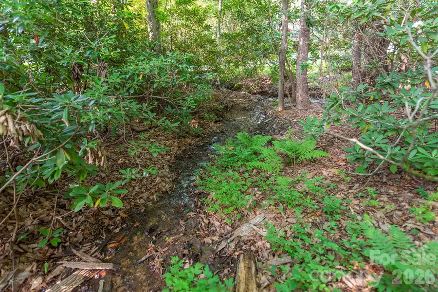 tbd Mecklenburg Circle, Montreat, NC 28757 - #3