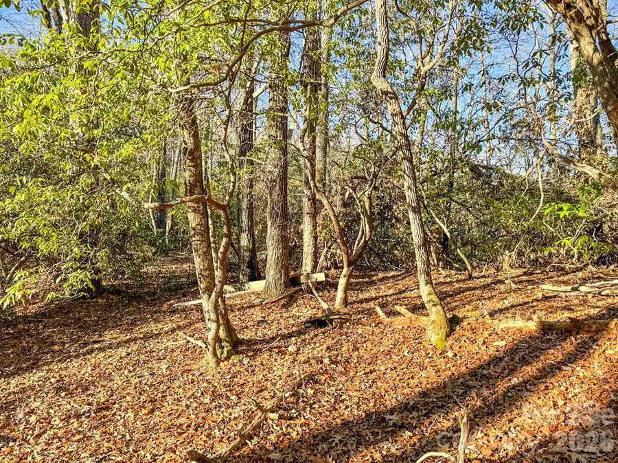 1647 Mills River Way, Horse Shoe, NC 28742 - #3