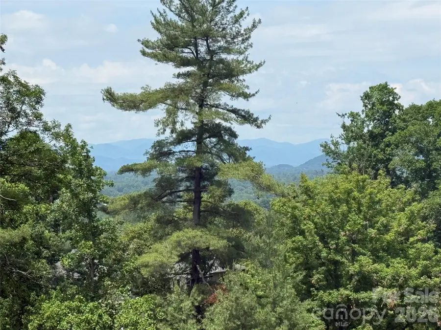 44 Leisure Mountain Road, Asheville, NC 28804 - #2