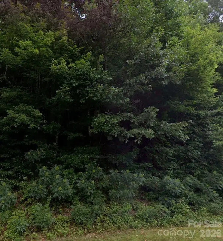 0 Laytown Road, Lenoir, NC 28645 - #2