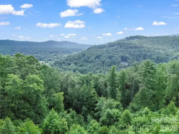 TBD Davenport Hills Road, Hendersonville, NC 28739