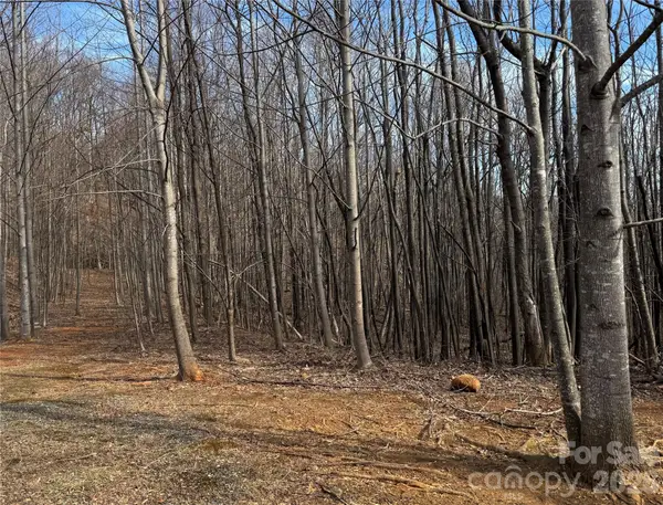 99999 Chesterfield Drive #179, Mill Spring, NC 28756