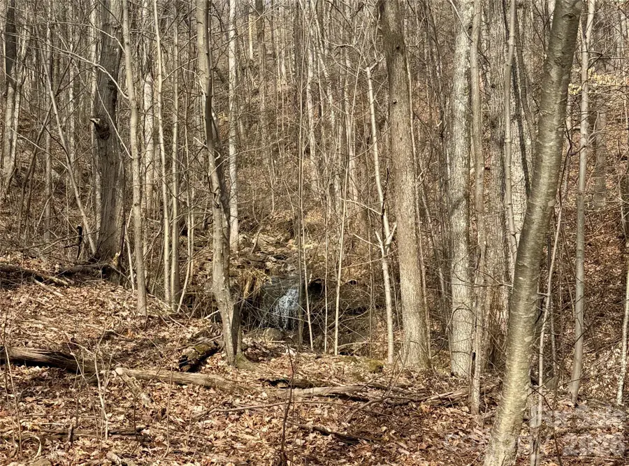 99999 Chesterfield Drive #179, Mill Spring, NC 28756 - #2