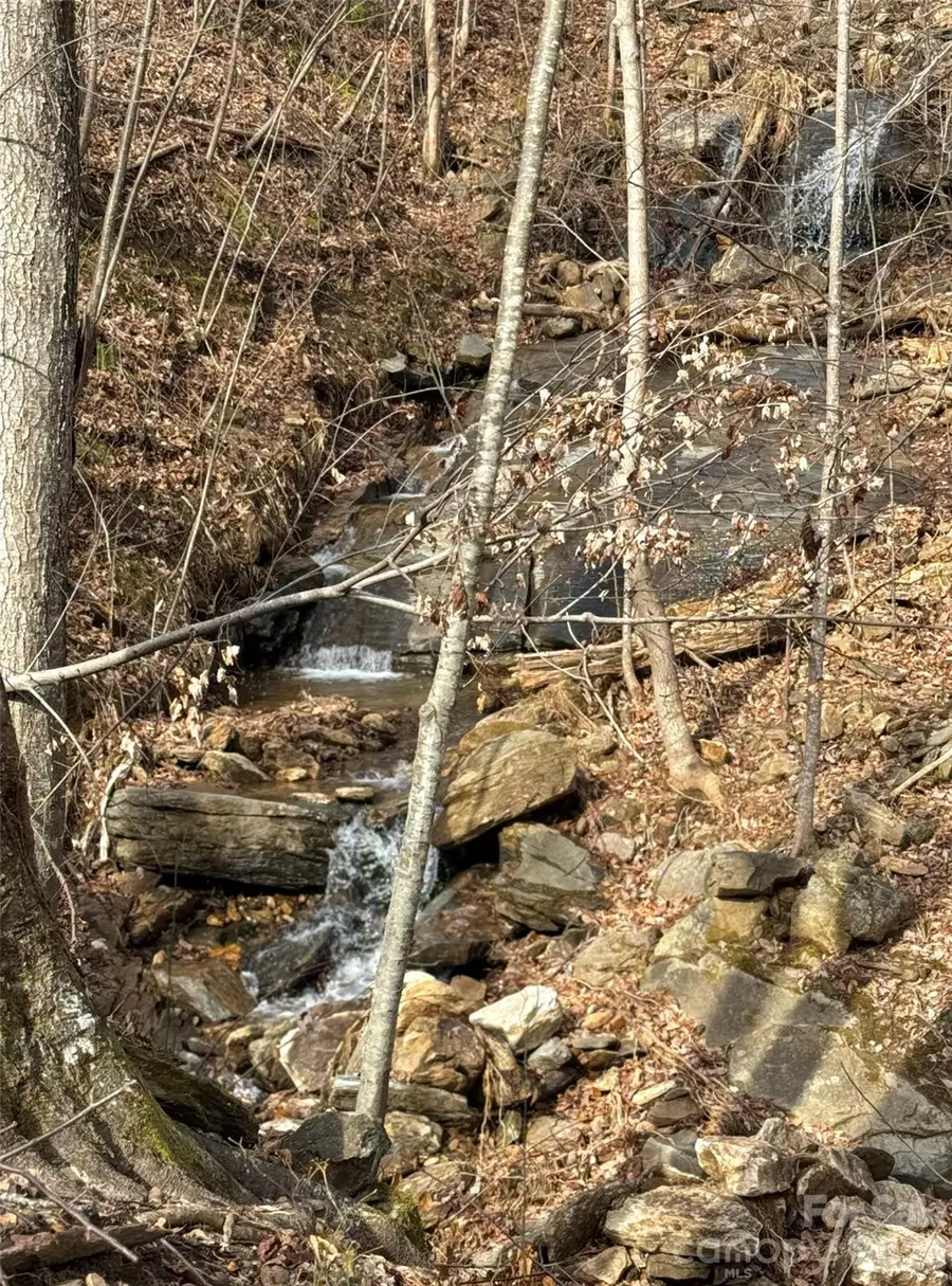 99999 Chesterfield Drive #179, Mill Spring, NC 28756 - #3