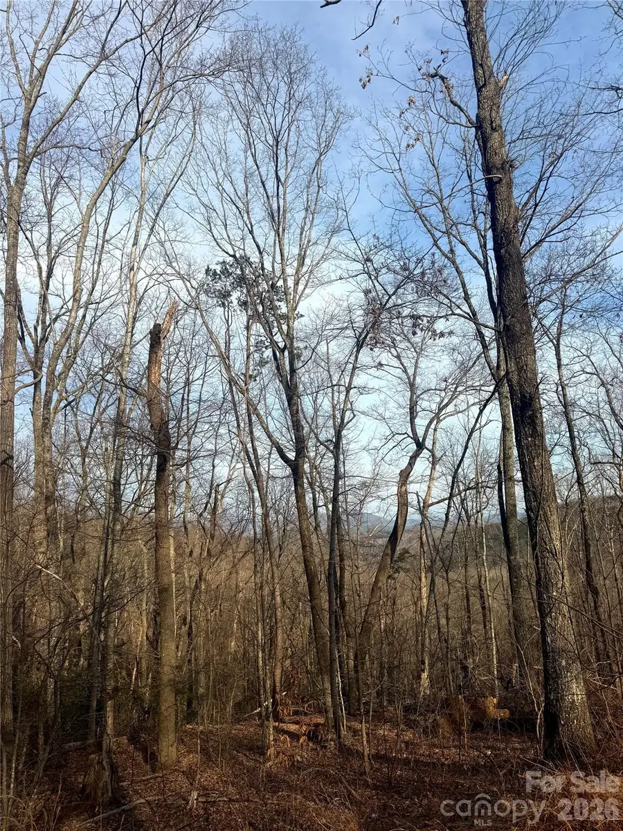 0 Peartree Drive, Lake Lure, NC 28746 - #3