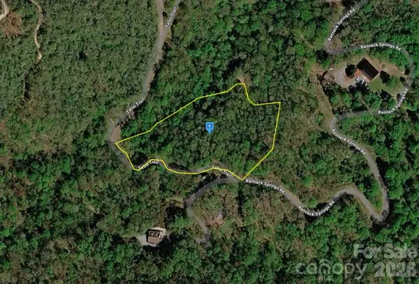 650 Bannack Springs Road, Whittier, NC 28789