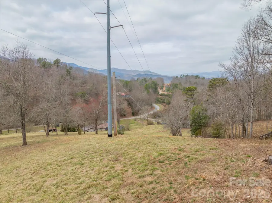 9999 Cornelious Ashe Road, Whittier, NC 28789 - #2