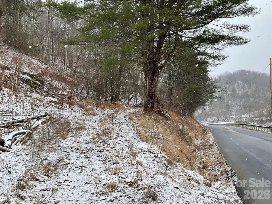 0000 Nc Hwy 197 Highway, Green Mountain, NC 28740 - #2