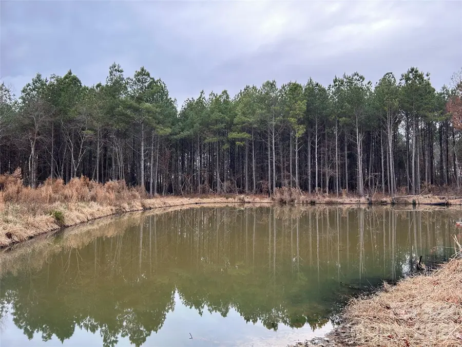 1440 Carl Taylor Road, Peachland, NC 28133 - #3