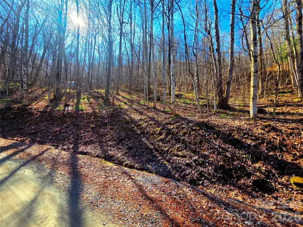 160 Slippery Rock Road #206, Waynesville, NC 28785