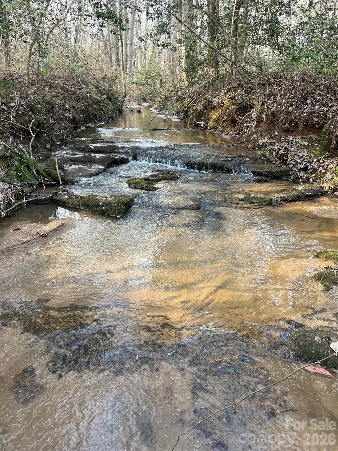 00 Pilgrim Church Road, Hiddenite, NC 28636 - #1