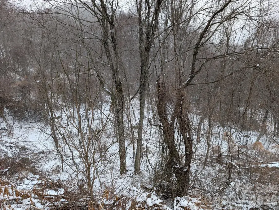 00 Bear Wallow Trail, Canton, NC 28716 - #2