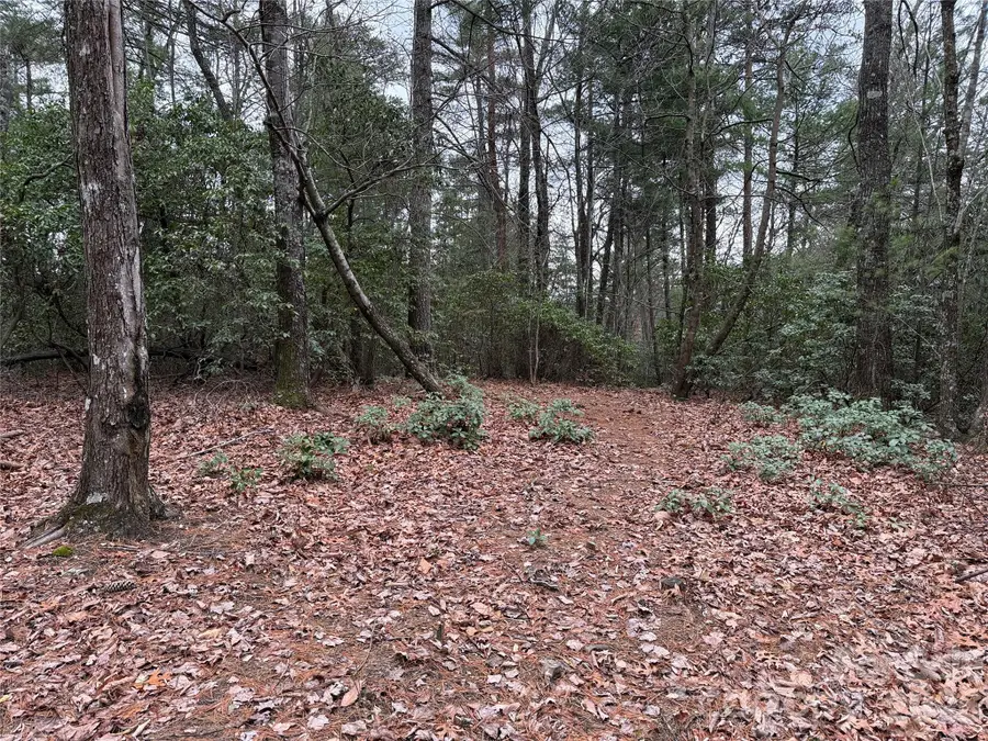 TBD Deer Antler Drive #82, Purlear, NC 28665 - #2