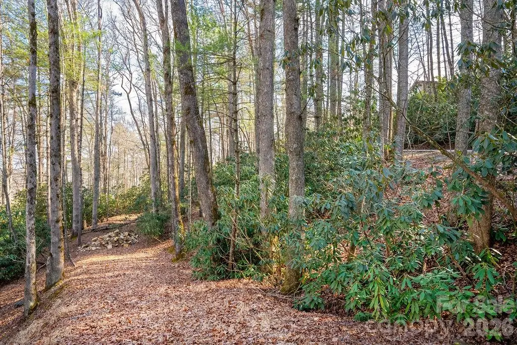 Lot 4-R Middlemount Road, Pisgah Forest, NC 28768 - #1