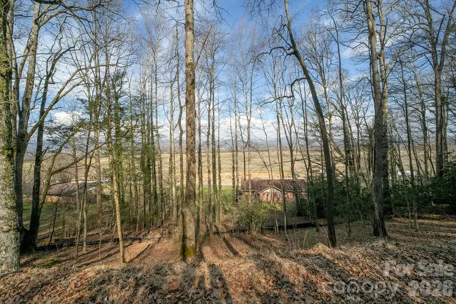 Lot 4-R Middlemount Road, Pisgah Forest, NC 28768 - #2