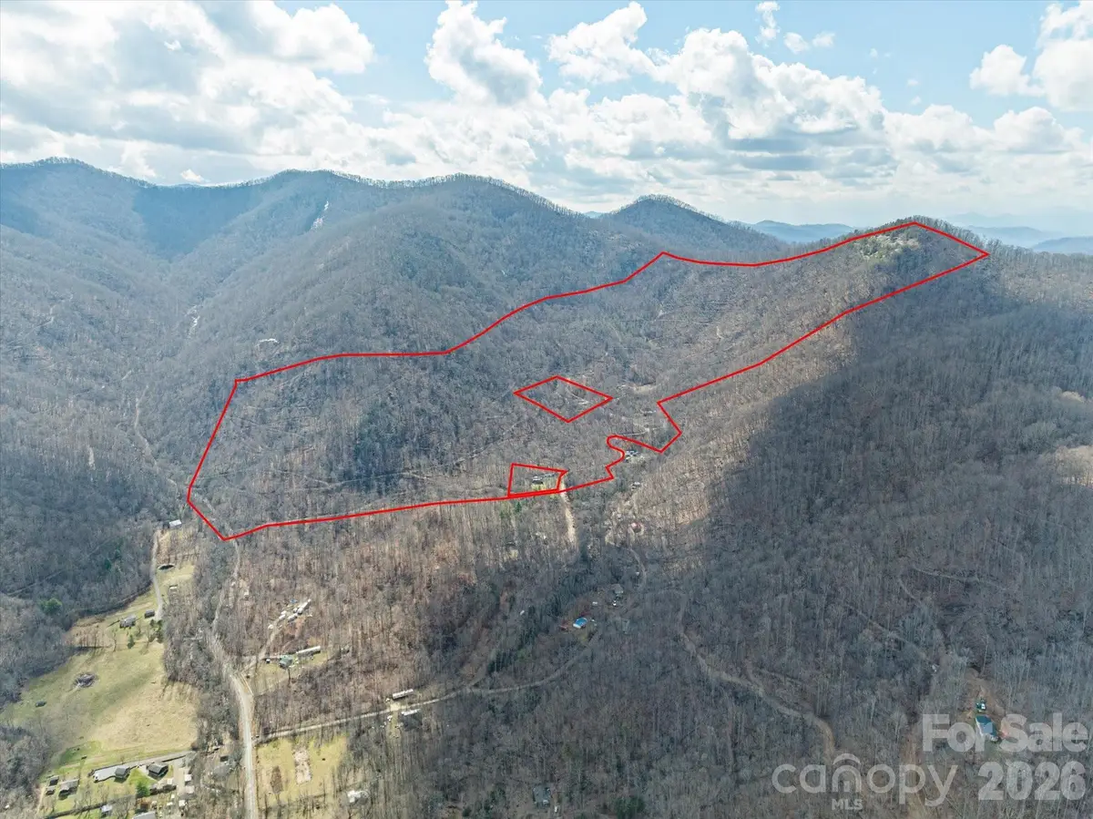 140 Wild Mountain Lane, Barnardsville, NC 28709 - #1