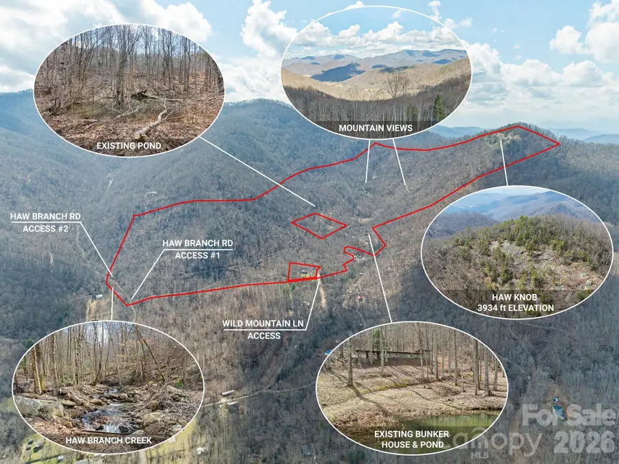 140 Wild Mountain Lane, Barnardsville, NC 28709 - #2