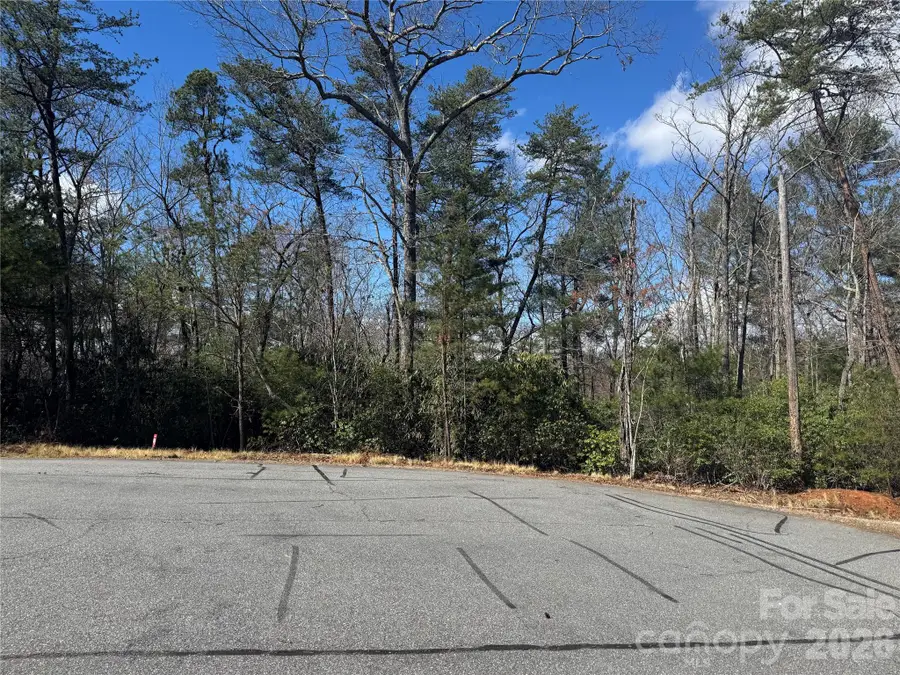 91 West Lake Road #91, Marion, NC 28752 - #3