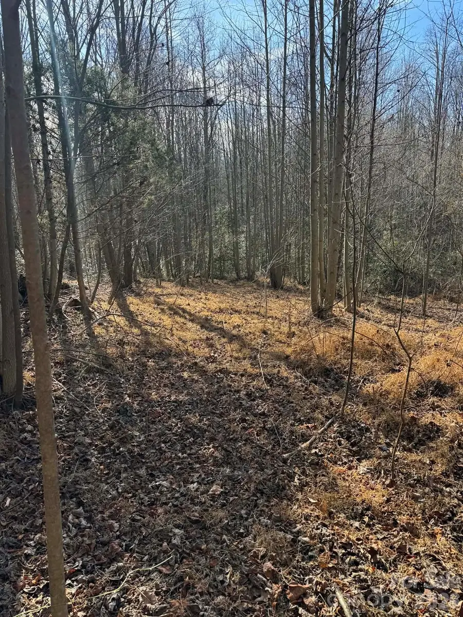 001 Rock Creek Church Road, North Wilkesboro, NC 28659 - #2