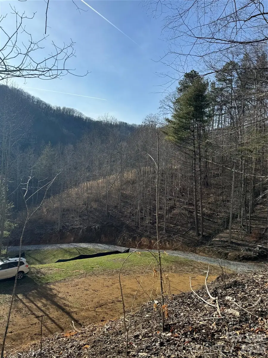 890 Fisher Branch Road, Marshall, NC 28753 - #3