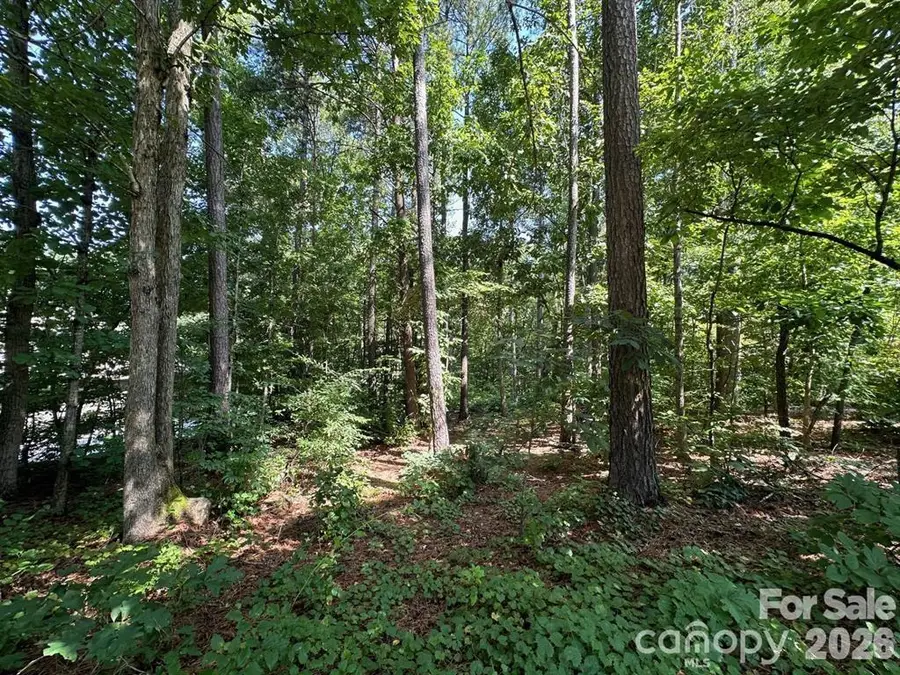 32 Miners Creek Drive, Lincolnton, NC 28092 - #3